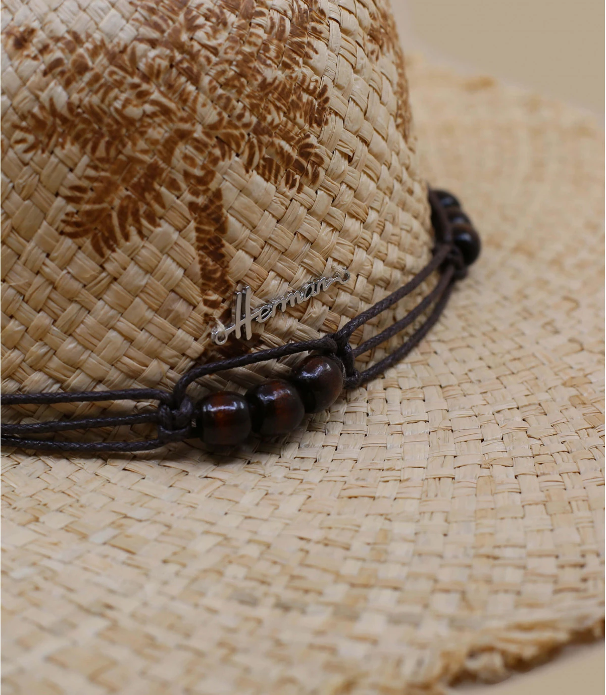 Curacao Palm Trees 6 Curacao Palm Trees – Image 4