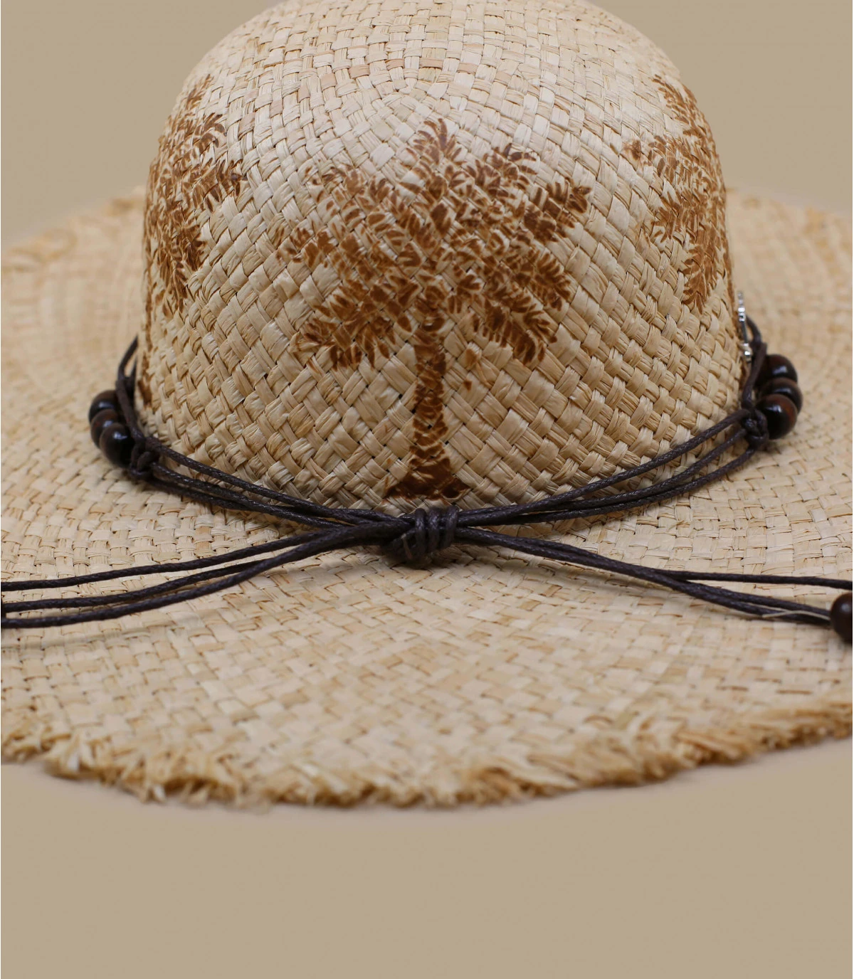 Curacao Palm Trees 7 Curacao Palm Trees – Image 5