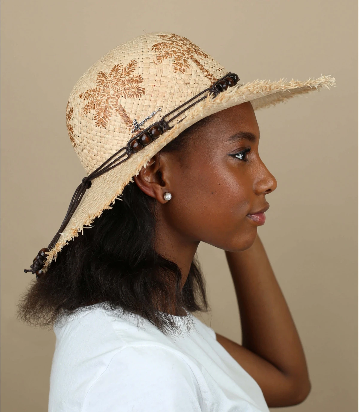 Curacao Palm Trees 3 Curacao Palm Trees